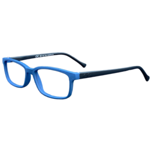 WARHOL-AZUL/NEGRO-C22