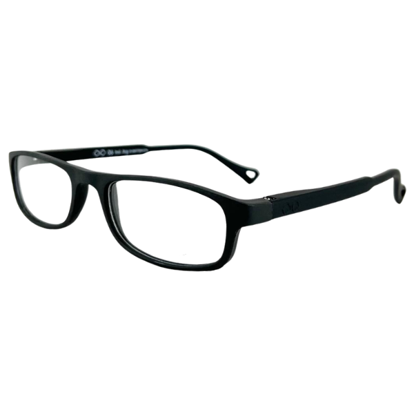 MONET-NEGRO/NEGRO-C1