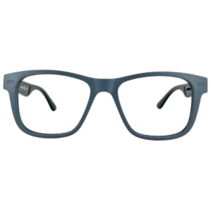 FAT1-GRIS/NEGRO-C10