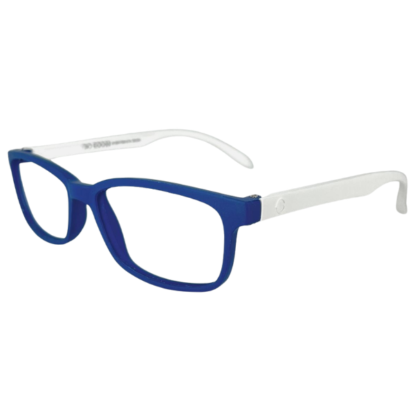 ECO3-AZUL/BLANCO-C69